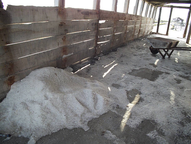 Satgas Udara Taburkan 29 Ton Garam untuk Atasi Karhutla di Riau Sejak Februari