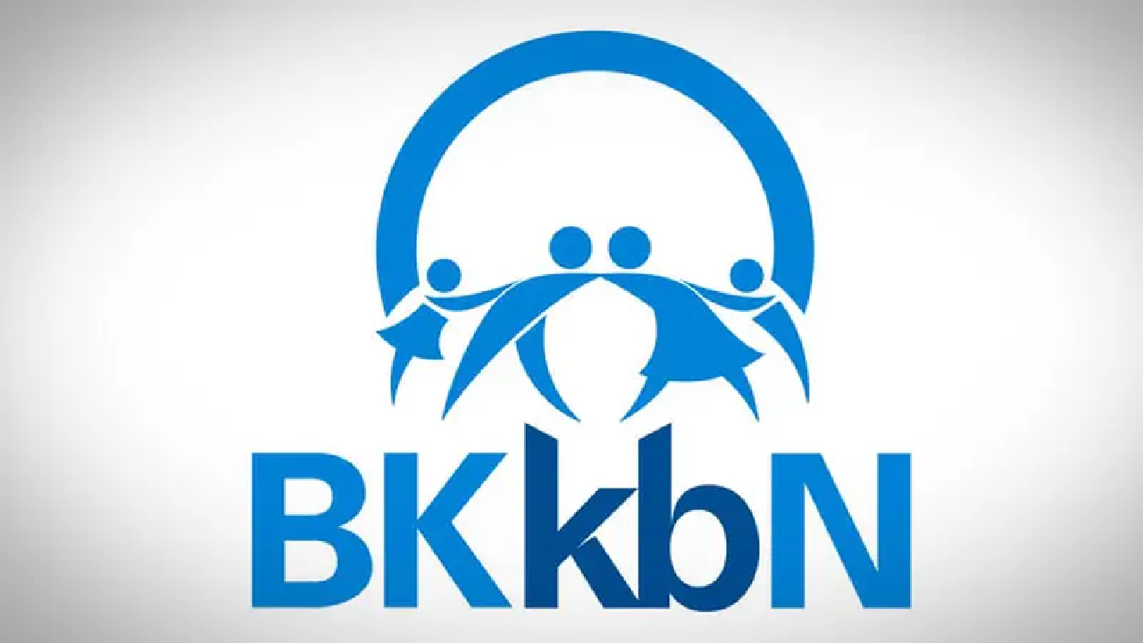 Daftar Magang Instansi Pemerintah, BKKBN Buka Program Magang 2025 untuk Pelajar dan Mahasiswa