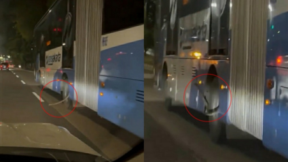 Viral Ular Muncul dari Celah Ban Bus TransJakarta Saat Sedang Melaju di Jalan Raya