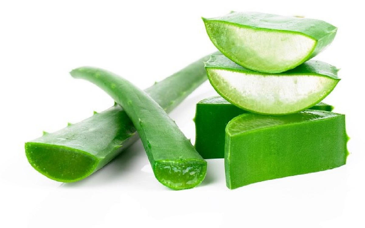 Selesai Gunakan Aloe Vera Apa Perlu Dibilas? Ini Dia Jawabannya