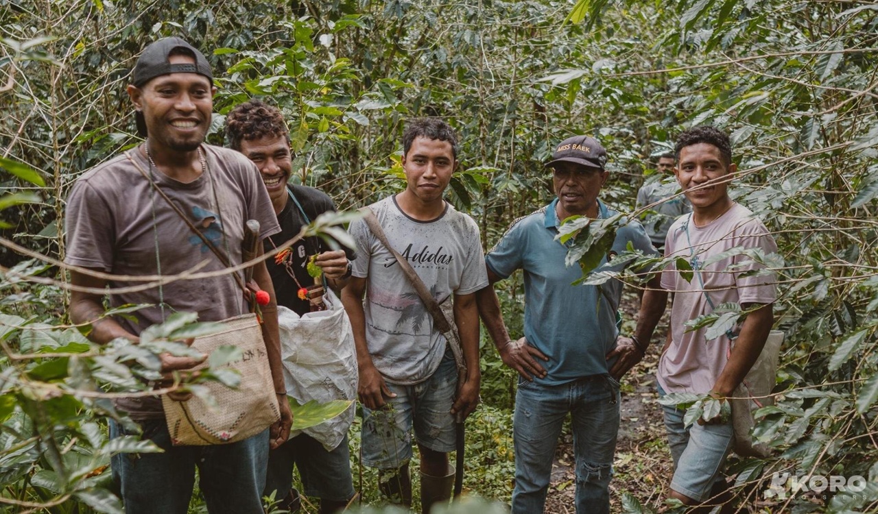 Koro Roasters: Brand Kopi Bali yang Angkat Nama Indonesia di Panggung Dunia