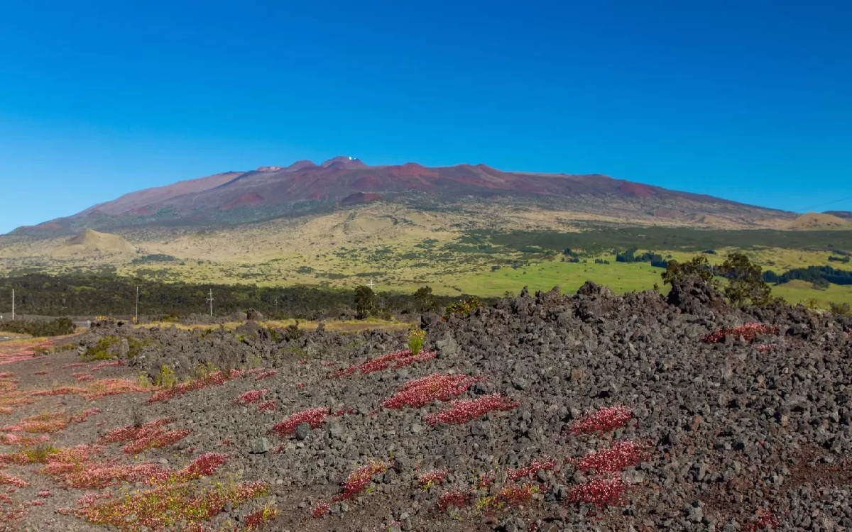 Ini Dia Gunung Terbesar di Dunia, Ketinggiannya 4.207 mdpl Bro!