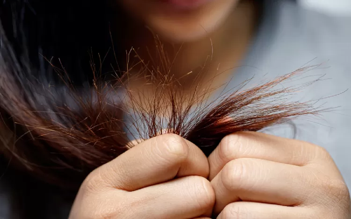 7 Bahan Alami Untuk Atasi Masalah Rambut Bercabang, Lengkap dengan Cara Penggunaannya