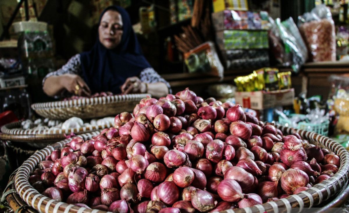 Kulit Bawang Merah Bisa Bikin Panel Surya Lebih Tahan UV, Sampah Dapur Naik Kelas Jadi Teknologi