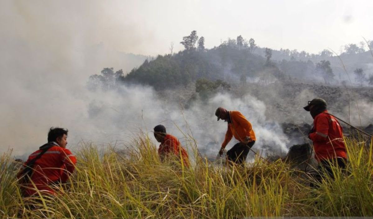 Tujuh Gunung di Jatim Dibakar Api, Ulah Manusia Lagi-Lagi Jadi Tersangka