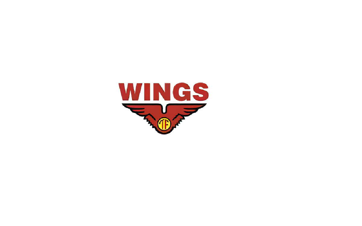 Wings Group Buka Lowongan Kerja Terbaru Agustus 2024 untuk D3 Hingga S1, Fresh Graduate Boleh Daftar!