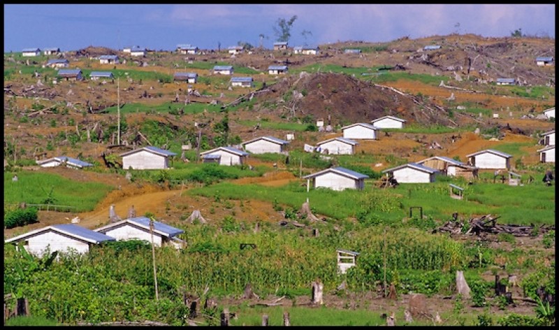 Peserta Transmigrasi 2025 Dapat Lahan 2 Hektare dan Rumah Bersertifikat Hak Milik
