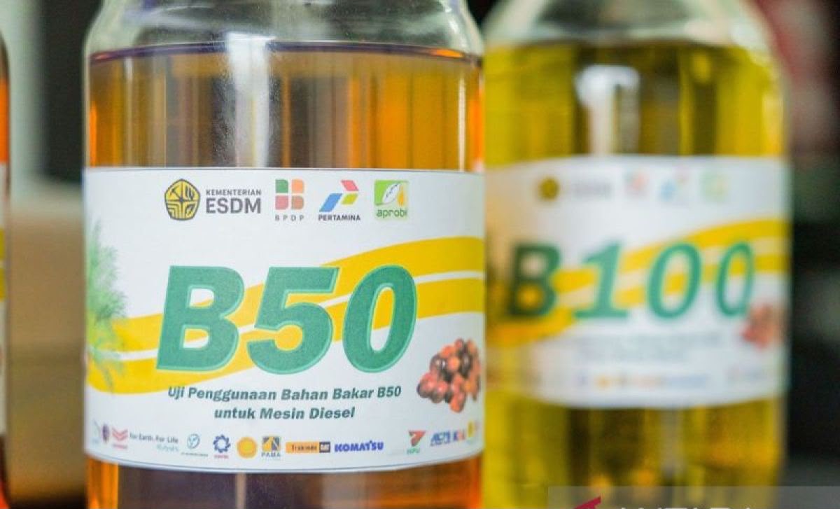 B50 Digadang Selamatkan Devisa Rp170 Triliun, Pemerintah Yakin Solar Sawit Jadi Tameng Ekonomi RI