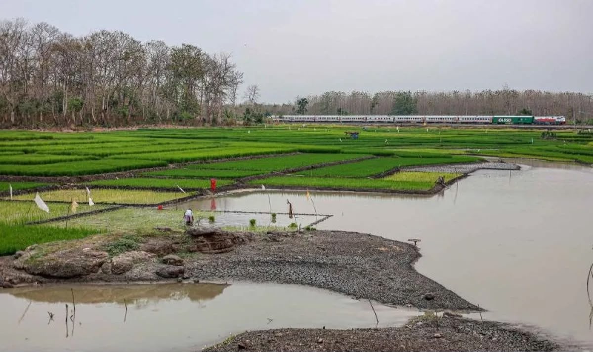 El Nino Brutal, Hujan Indonesia Ikut Molor, BMKG Bongkar Ancaman Kemarau Makin Panjang