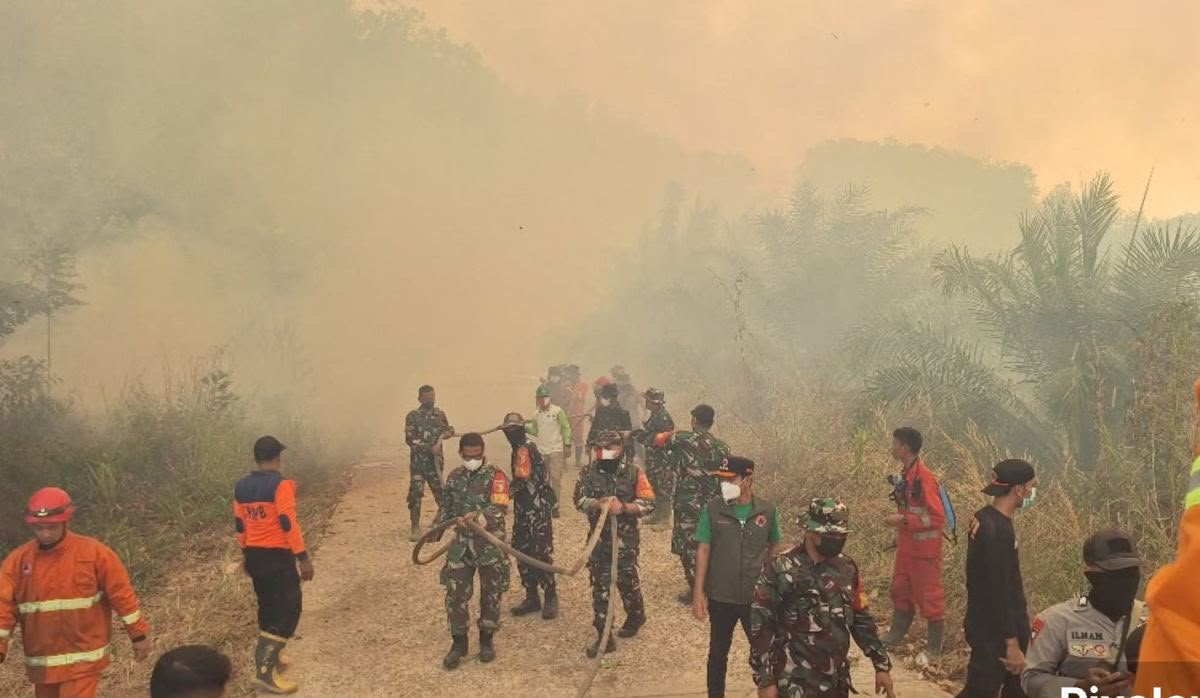Kabut Asap Mencekik Kalimantan, PM2,5 Tembus 1.465,3, Warga Dipaksa Hirup Udara Berbahaya