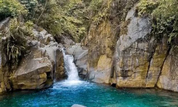 5 Tempat Wisata Bogor yang Dekat dan Hits, Cocok untuk Healing Cepat dari Jakarta