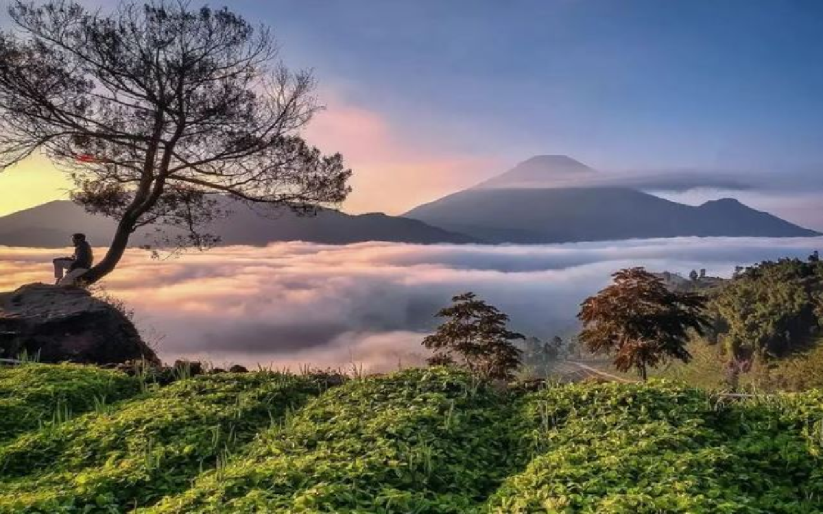 Simak Sejarah dan Wisata Dieng yang Wajib Kamu Ketahui