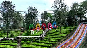 10 Tempat Wisata di Puncak Bogor Terbaru 2025 yang Viral, Murah, dan Wajib Dikunjungi saat Libur Nataru!