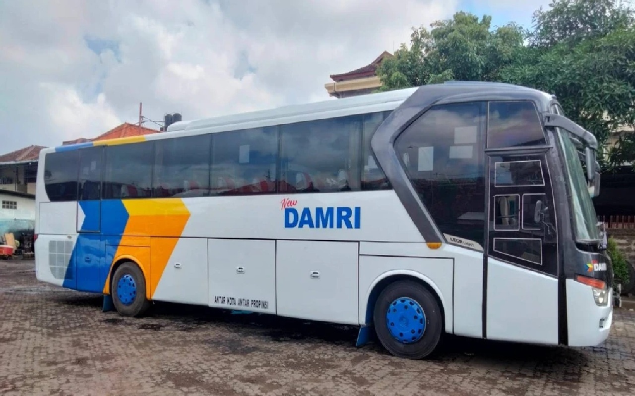 Peluang Karier di BUMN Transportasi: DAMRI Cari Staf IT Web Developer