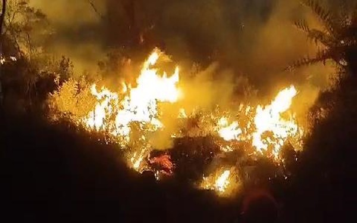 Kebakaran Kembali Melanda Bromo, Kali Ini Terjadi di Gunung Batok