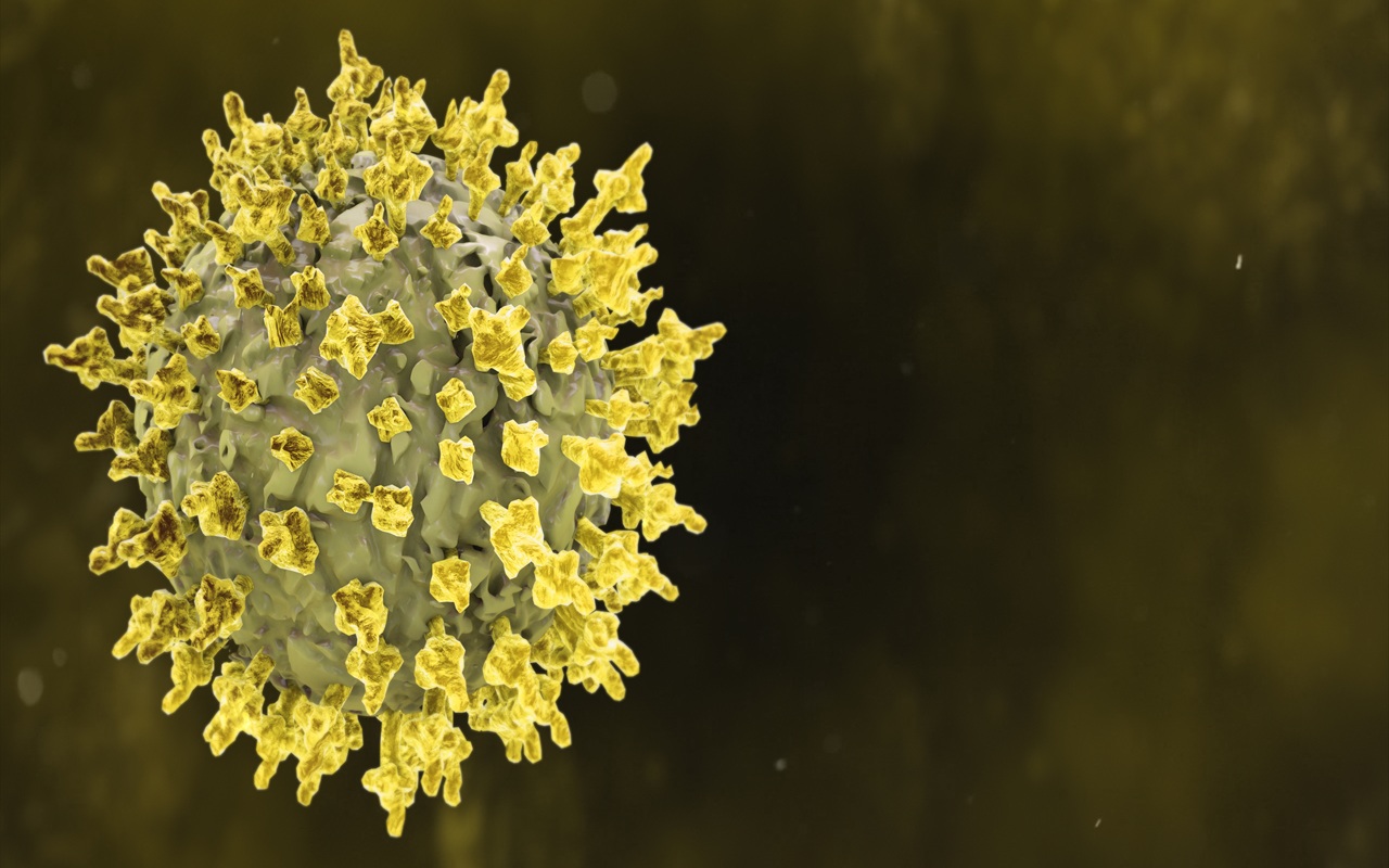 Virus Nipah Merebak di India, Cara Thailand dan Singapura Jadi Contoh Kewaspadaan Indonesia