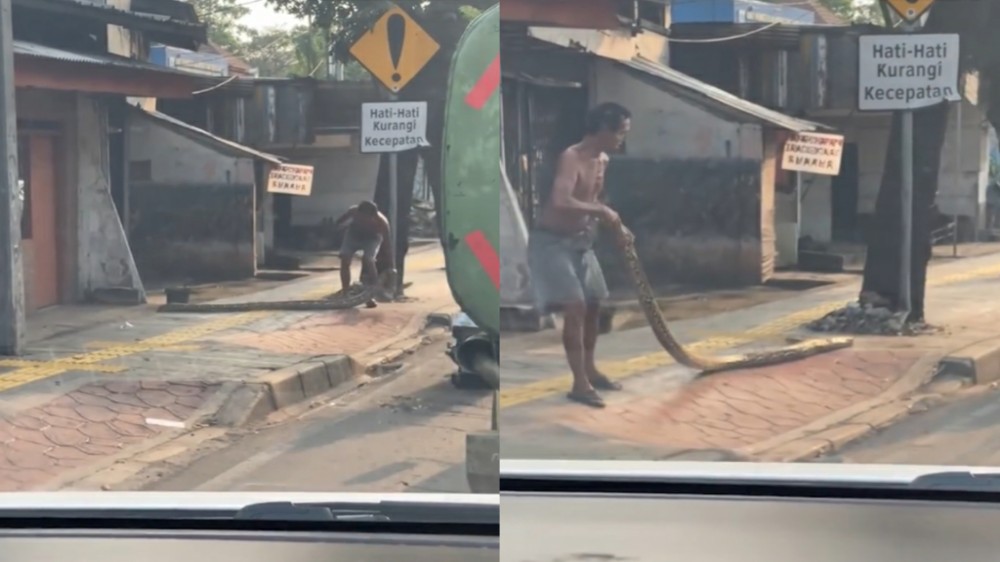Kesal Pemotor Terobos Trotoar, Viral Pria Hadang Jalur Pejalan Kaki Pakai Ular Piton Besar 