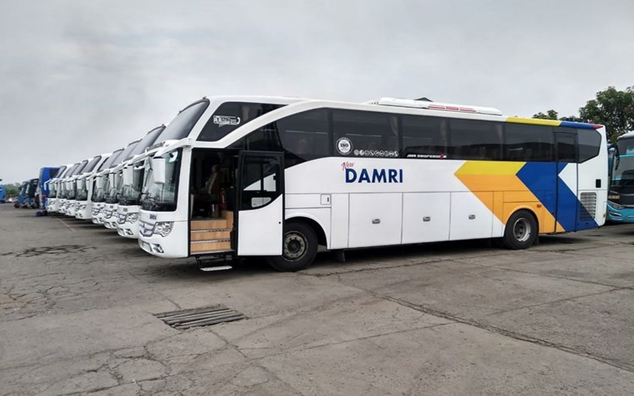 DAMRI Buka Lowongan Kerja untuk Profesional IT, Daftar Sebelum 10 Maret 2026