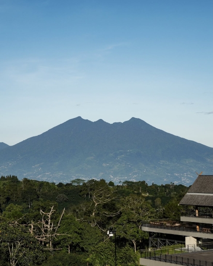 EIGER Nature Perkuat Konservasi Puncak dengan 120 Ribu Pohon dan Konsep 7E di Puncak Bogor