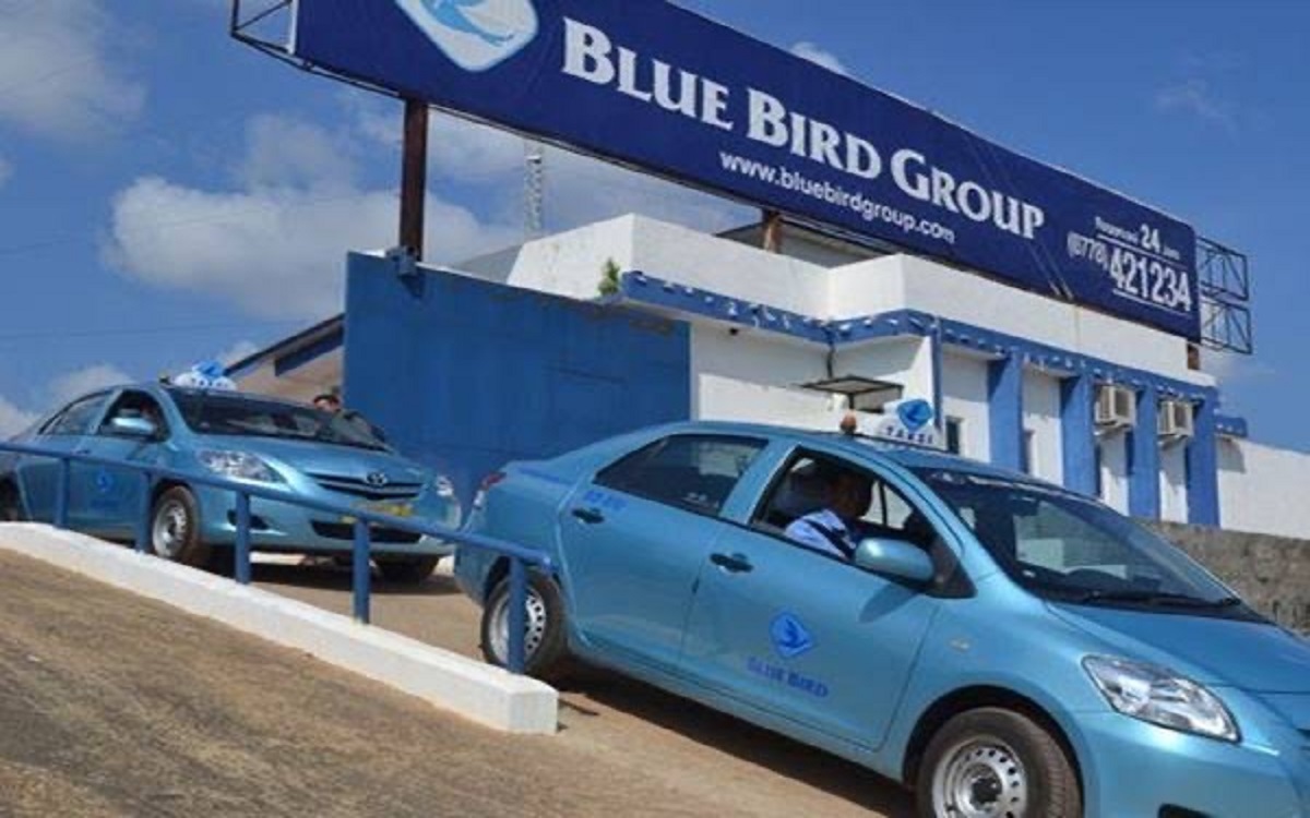 Info Loker: Ada Posisi Driver Taksi di Bluebird Pool Cimanggis, Buruan Daftar