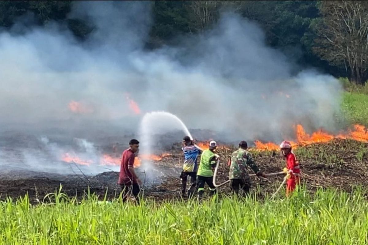 Karhutla Kalimantan Makin Membara, Malaysia Turun Tangan Kirim Pesawat dan 3 Helikopter