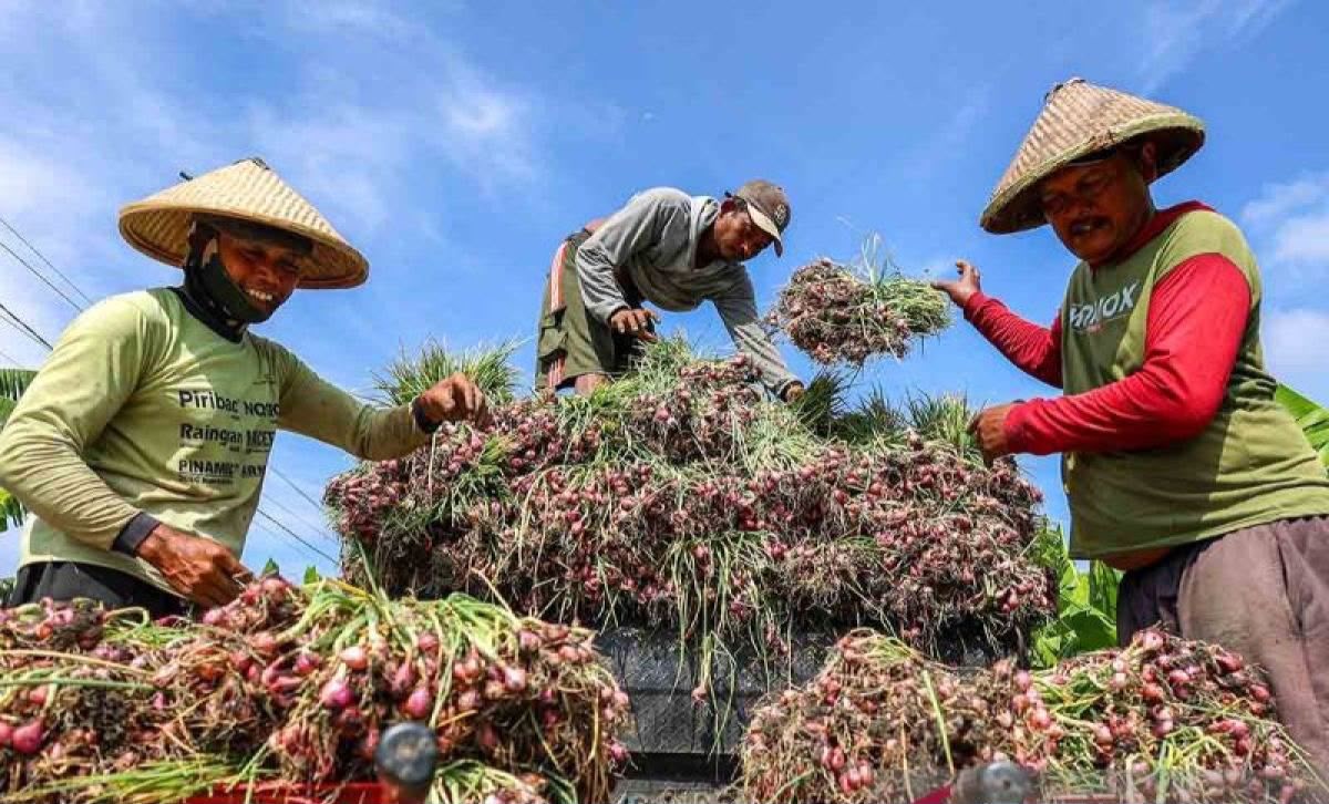 Inflasi Cuma Ngegas Dikiiit! Harga Cabai Jinak, BBM Adem, Dompet Rakyat Belum Tentu Ikut Senyum