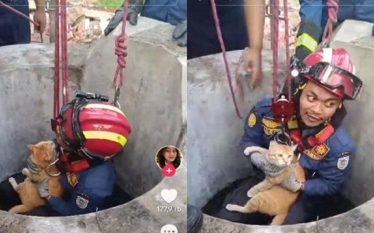 Viral! Damkar Berwajah Tampan Selamatkan Kucing Kecebur Dalam Sumur