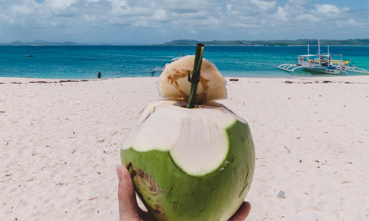 5 Manfaat Ajaib Air Kelapa: Rahasia Kesehatan Tubuh yang Wajib Diketahui!