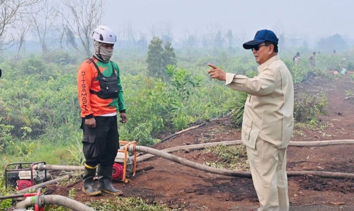IKN Jangan Sampai Ikut Terbakar! Prabowo Wanti-wanti Api Hutan Merembet ke Zona Inti