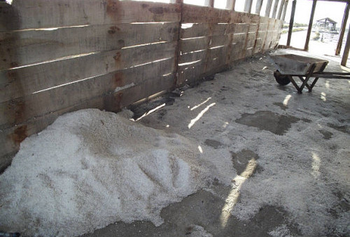Satgas Udara Taburkan 29 Ton Garam untuk Atasi Karhutla di Riau Sejak Februari