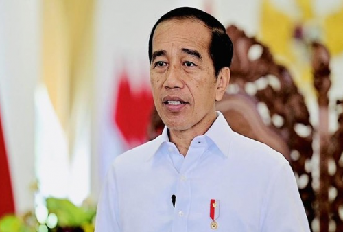 Jokowi Tegaskan: Jangan Bayangkan IKN Jadi Sepenuhnya saat Upacara 17 Agustus 2024