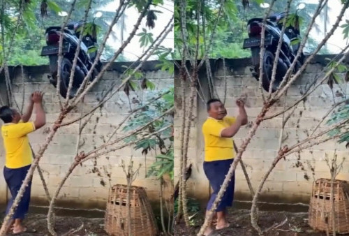 Motor Warga di Lampung Tersangkut di Atas Pagar Tembok, Diduga Hendak Dicuri 