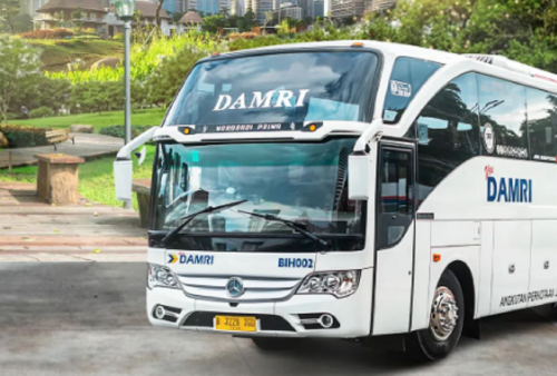 Info Loker Bus DAMRI Terbaru Januari 2024, Minimal Tamatan SMA Bisa Daftar!
