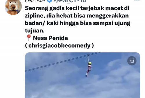 Viral Anak Kecil Tersangkut di Flying Fox Nusa Penida Bali, Polisi dan Pengelola Beri Penjelasan