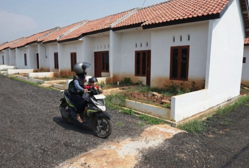 Rumah Subsidi Digenjot, Backlog Belum Tumbang! Ara Ajak Warga Borong FLPP Sebelum Harga Melesat