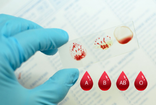 9 Cara Mengenal Kepribadian Orang yang Memiliki Golongan Darah AB