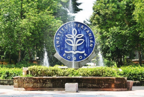 Lowongan Kerja Badan Investasi dan Bisnis IPB Januari 2026, Terbuka Lulusan SMA hingga S1