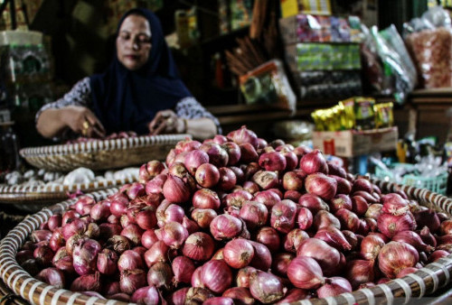 Kulit Bawang Merah Bisa Bikin Panel Surya Lebih Tahan UV, Sampah Dapur Naik Kelas Jadi Teknologi