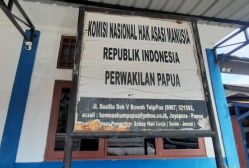 Bom Molotov Hantam Kantor Komnas HAM Papua, Teror Mengintai Lembaga Penjaga HAM