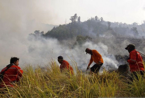 Tujuh Gunung di Jatim Dibakar Api, Ulah Manusia Lagi-Lagi Jadi Tersangka