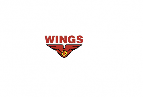 Wings Group Buka Lowongan Kerja Terbaru Agustus 2024 untuk D3 Hingga S1, Fresh Graduate Boleh Daftar!