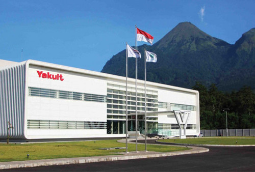 Fresh Graduate Merapat! Lowongan Kerja Yakult Indonesia 2026 Dibuka, Simak Syarat dan Cara Daftarnya