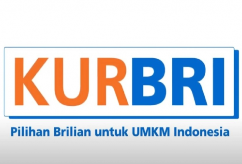 Simak Syarat Umum Pengajuan KUR BRI 2025 Terbaru, Bisa Diajukan Online dan Offline