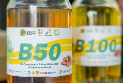 B50 Digadang Selamatkan Devisa Rp170 Triliun, Pemerintah Yakin Solar Sawit Jadi Tameng Ekonomi RI