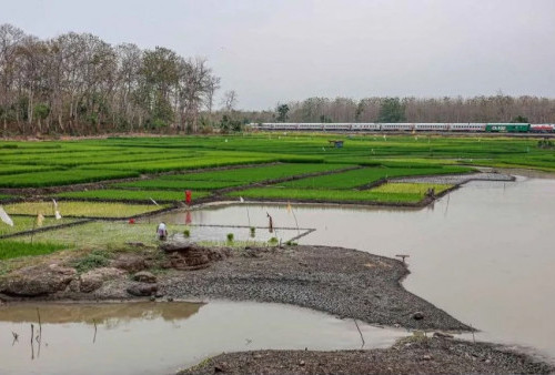 El Nino Brutal, Hujan Indonesia Ikut Molor, BMKG Bongkar Ancaman Kemarau Makin Panjang