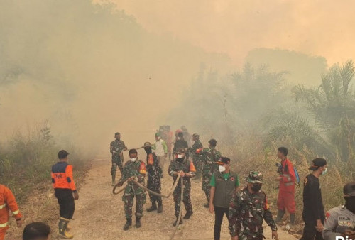 Kabut Asap Mencekik Kalimantan, PM2,5 Tembus 1.465,3, Warga Dipaksa Hirup Udara Berbahaya