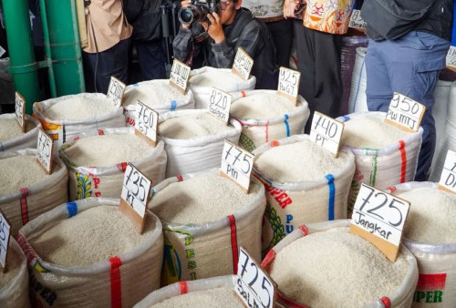 Beras Makin Mahal, 116 Daerah Kena Giliran Rakyat Dicekik Harga Pangan