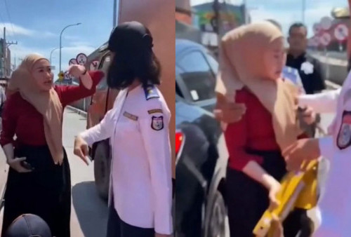 Viral! Wanita Ini Ngamuk ke Petugas Dishub Gegara Tak Terima Mobilnya Digembok