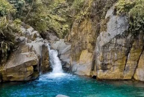 5 Tempat Wisata Bogor yang Dekat dan Hits, Cocok untuk Healing Cepat dari Jakarta