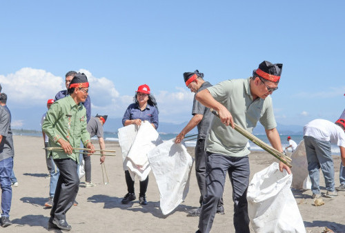 Yayasan AHM Tanam 16.000 Mangrove dan Lepas Tukik di Sumatera Barat